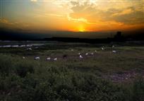 青衣江畔夕阳红