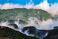甲盛美景