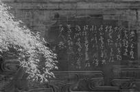 诗墙竹韵