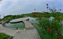 竹城湿地公园一景