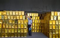 笋罐头盘点——傅筱清 摄