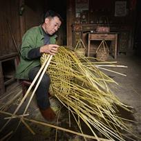 编织——张栋华 摄