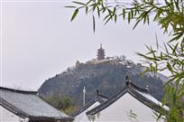 雪后竹韵
