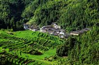 绿色家园