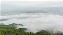 竹海.云海