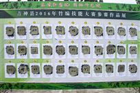参赛作品展示