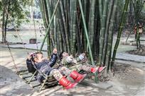 竹林童趣