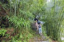 进林吸氧