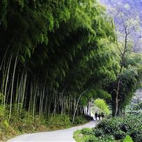 探密归来