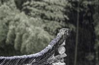 听雨