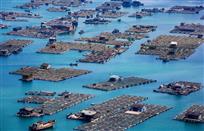 海上家园——陈纪凤 摄