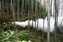 竹林除害