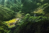 大山深处