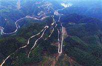 林区道路
