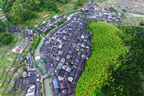 新村新竹