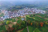 美丽清路