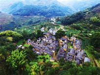 杨家堂