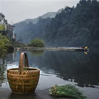洗菜蓝