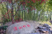 潇湘竹韵