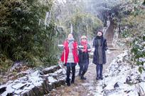 竹林雪趣