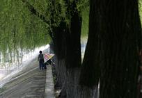 《春》