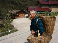 《春风》