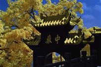 竹乡名刹中岩寺