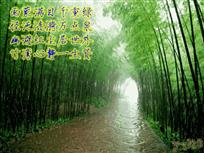 径竹涟漪