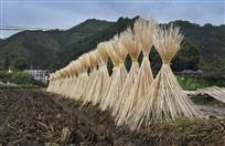 竹艺加工