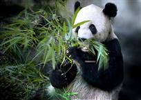 一生最爱这一样！