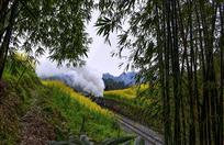 竹影婆娑火车鸣