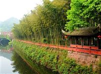 为城市添美色