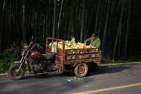 丰收