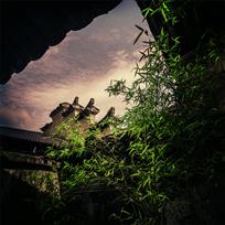 老屋之竹
