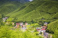 竹林深处有农家