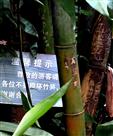 《视而不见》