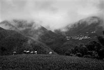山村怀竹