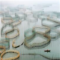 海耕图——卢范经 摄