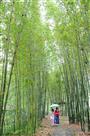 幽情时光——卢范经 摄