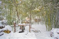 竹泉村的冬天