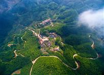 绿色家园——庄建忠 摄