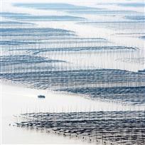 水墨渔歌——庄建忠 摄