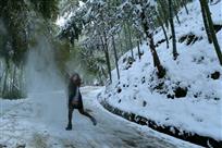 竹海雪趣
