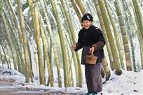 雪后