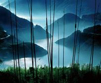 悠悠竹林情