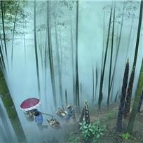 竹林人家