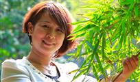 春洒竹林