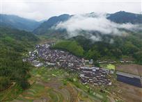 月山竹海