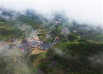 美丽金村