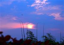 追梦夕阳